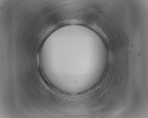 X0000075850014200609150942