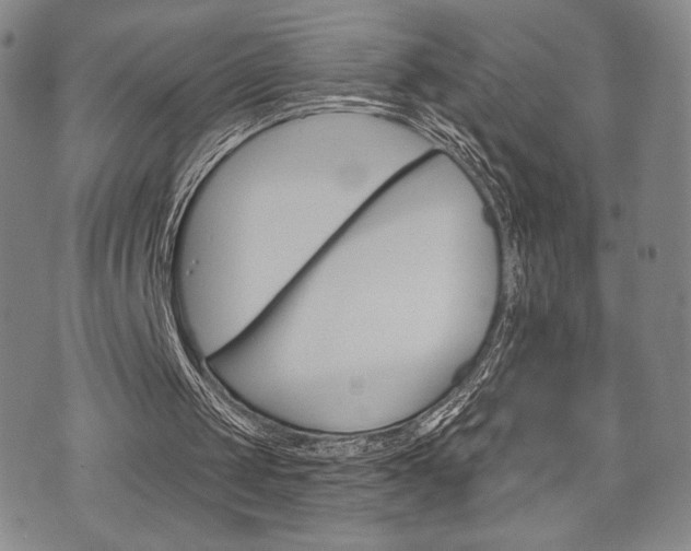 X0000075850049200609150941