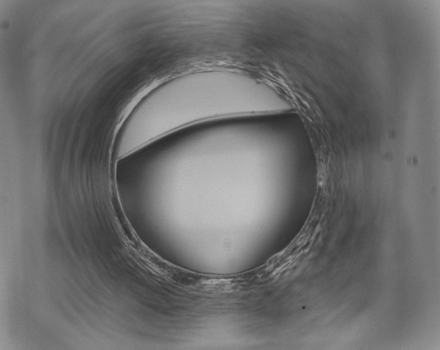 X0000075850052200609150941
