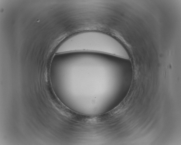 X0000075850068200609150941