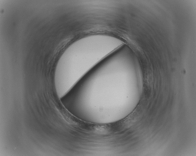 X0000075850070200609150941