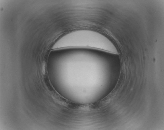 X0000075850076200609150941
