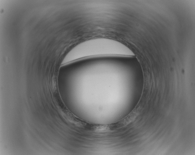 X0000075850088200609150941