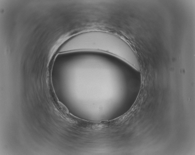 X0000075850152200609150939