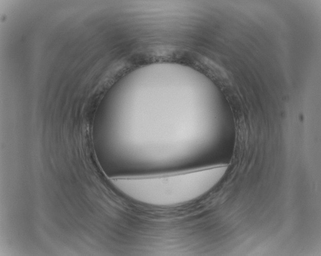 X0000075850225200609150938