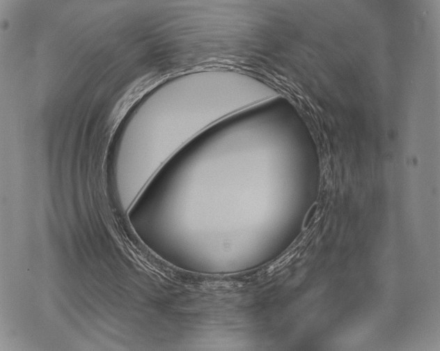X0000075850242200609150937