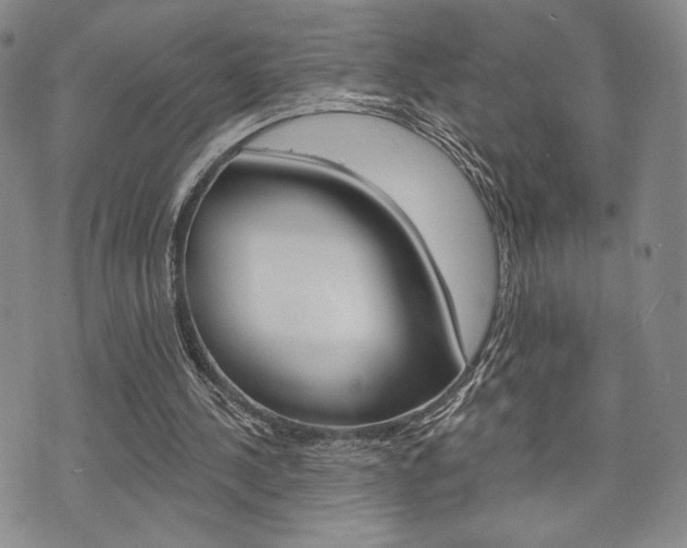 X0000075850244200609150937