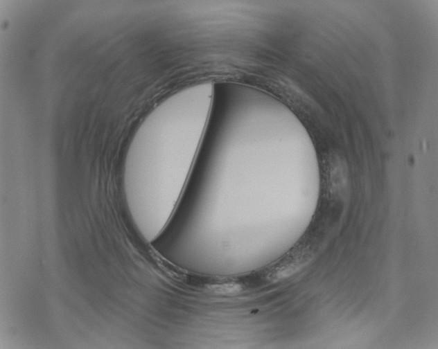 X0000075850266200609150938