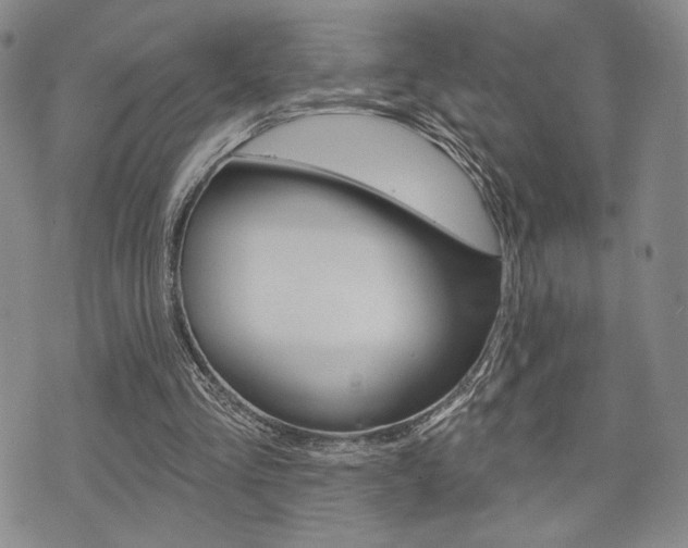 X0000075850293200609150937
