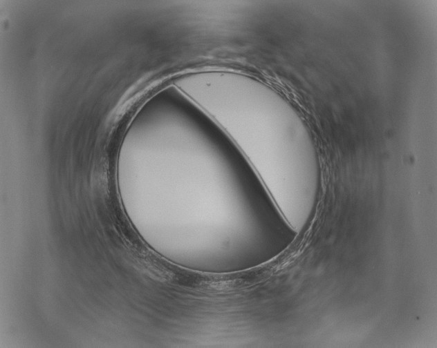 X0000075850295200609150937