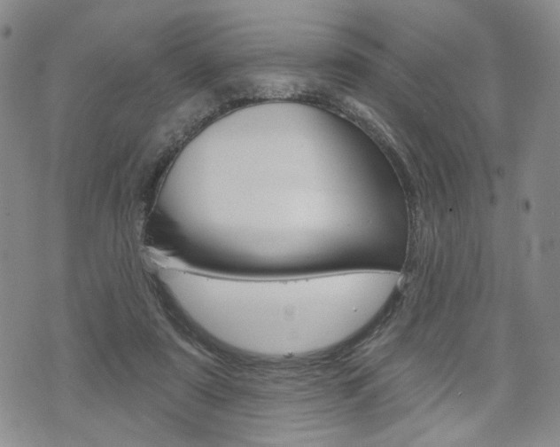 X0000075850307200609150937