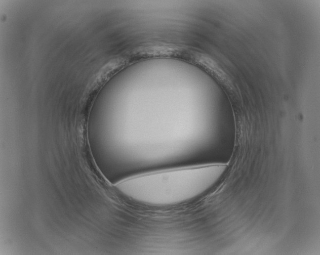 X0000075850309200609150937