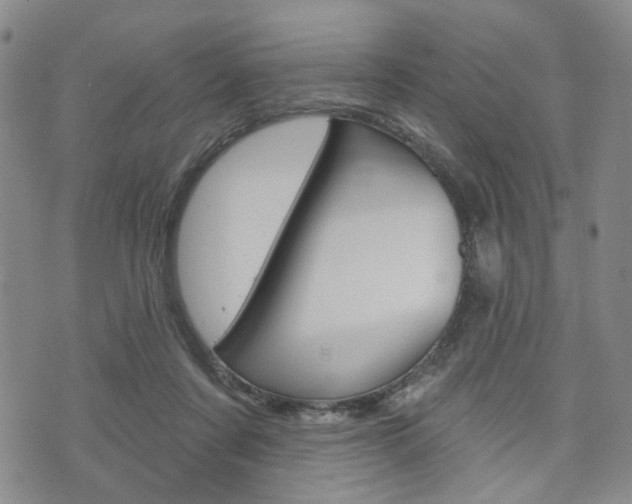 X0000075850311200609150937
