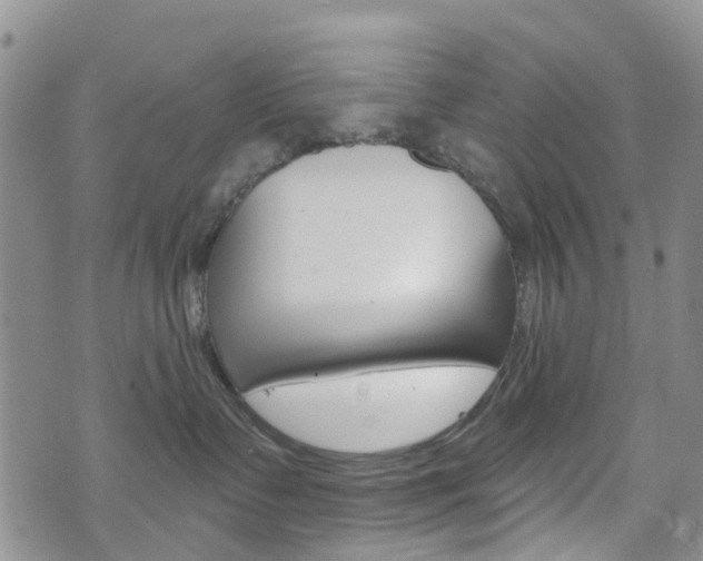 X0000075850335200609150937