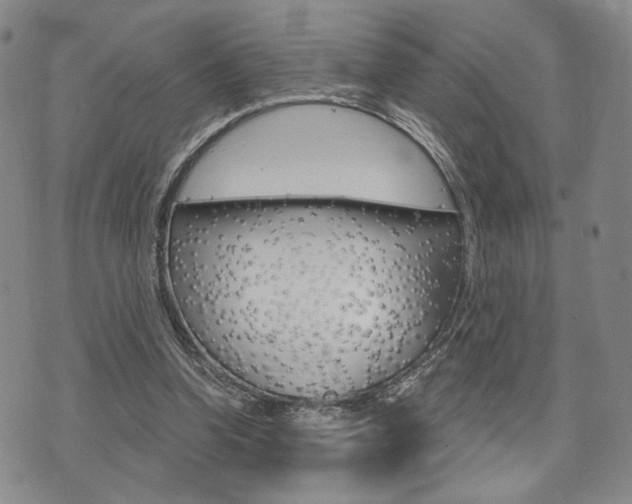 X0000075850346200609150936