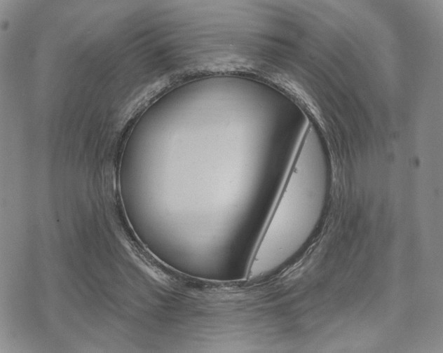 X0000075850397200609150936