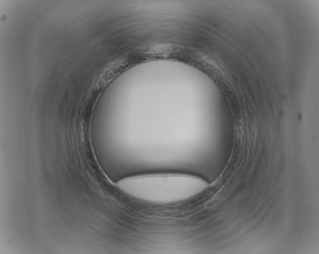 X0000075850504200609150934
