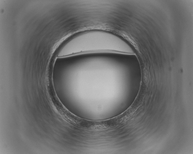 X0000075850536200609150933