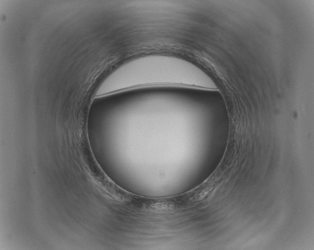 X0000075850546200609150933