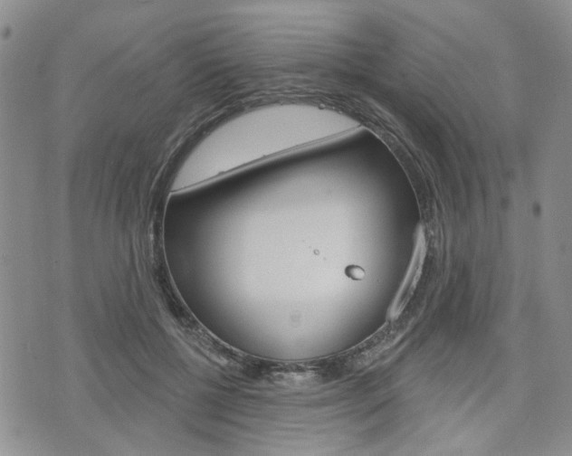 X0000075850552200609150933