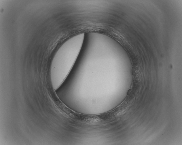 X0000075850642200609150931