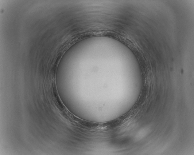 X0000075850647200609150931