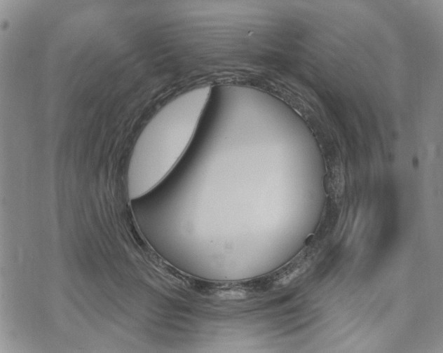 X0000075850653200609150932