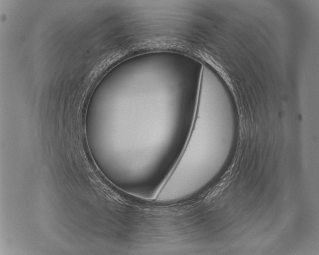 X0000075850673200609150931