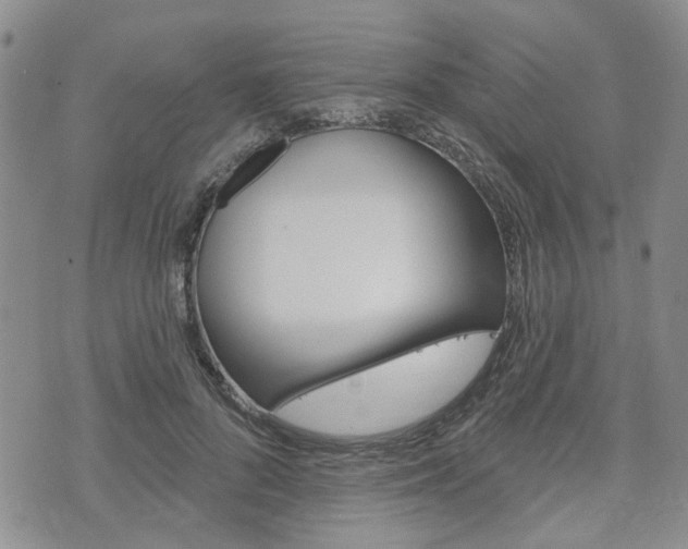 X0000075850696200609150931