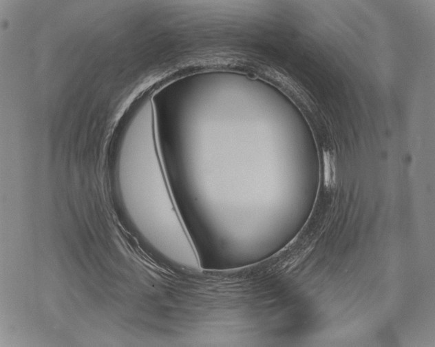 X0000075850723200609150930