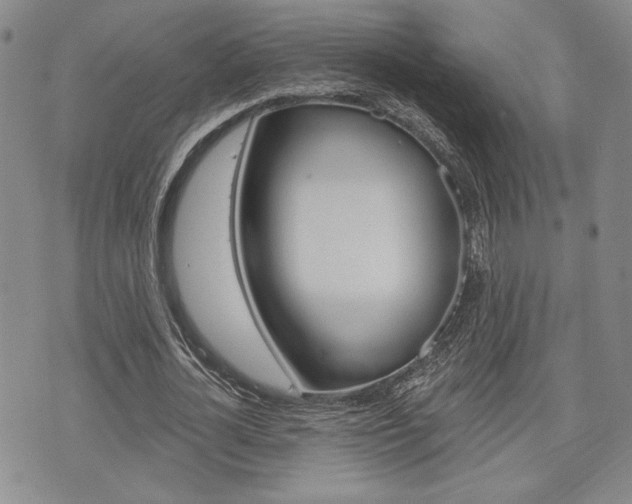 X0000075850724200609150930