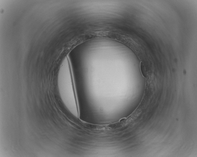 X0000075850752200609150930