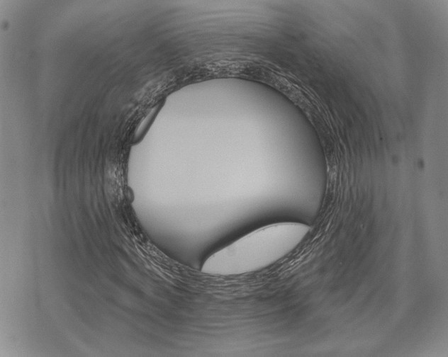 X0000075850772200609150930