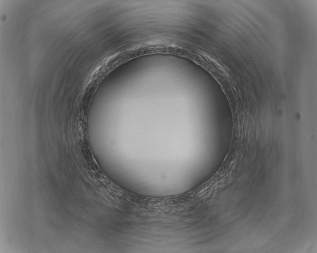 X0000075850776200609150929