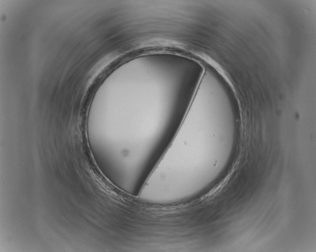 X0000075850783200609150929