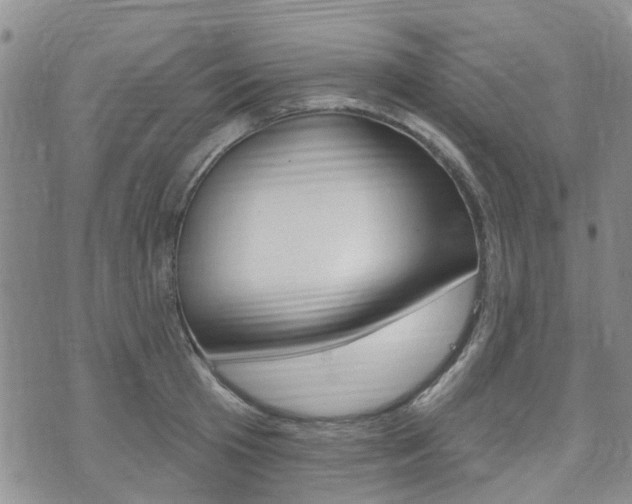 X0000075850801200609150929