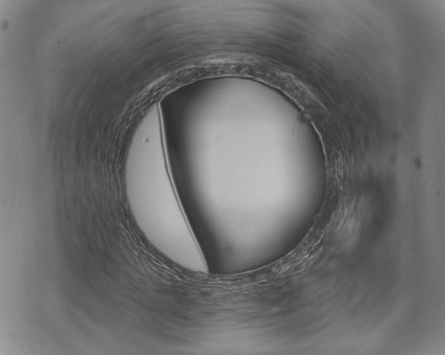X0000075850821200609150928