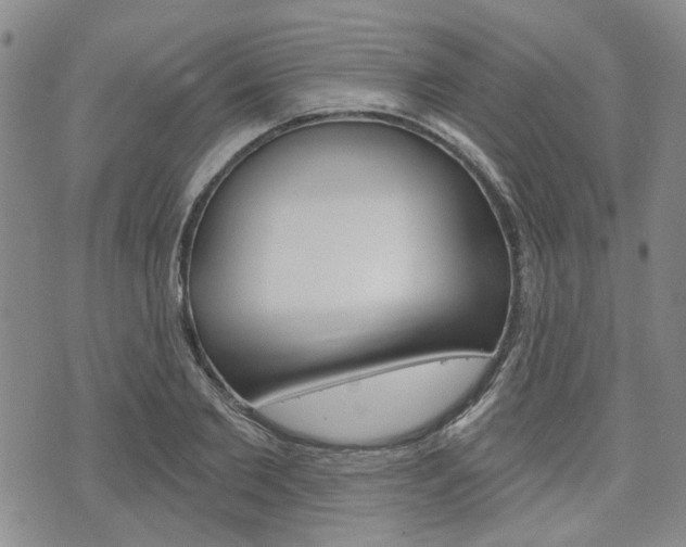X0000075850885200609150928