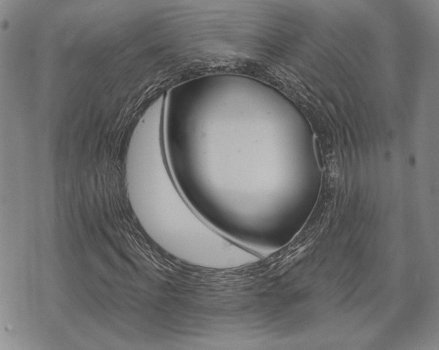 X0000075850916200609150926