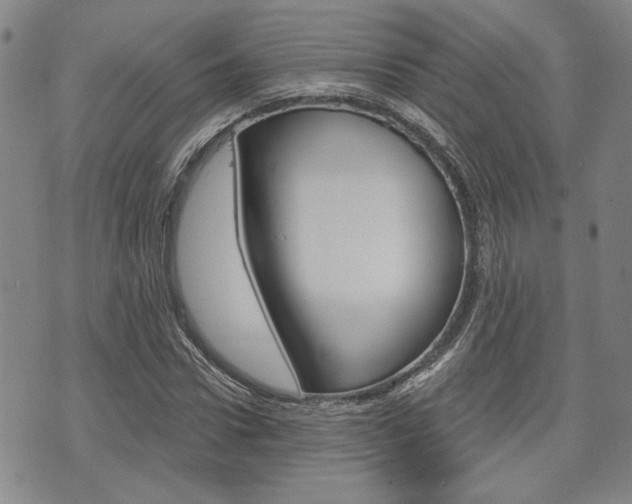 X0000075850922200609150926