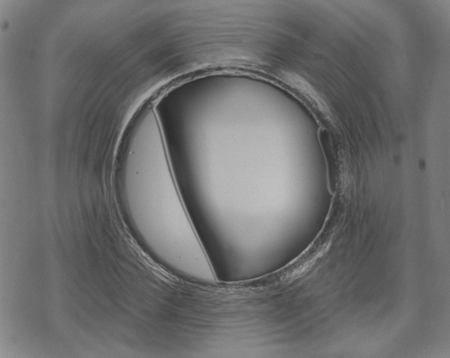 X0000075850924200609150927