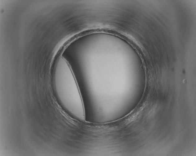 X0000075850927200609150927