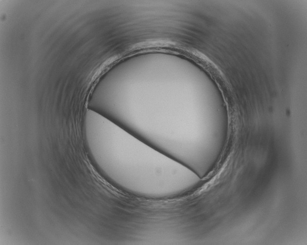 X0000075850929200609150927
