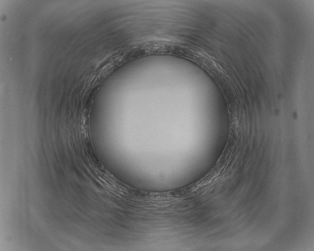 X0000075850964200609150926