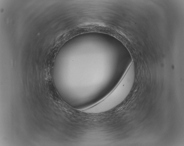 X0000075850965200609150926