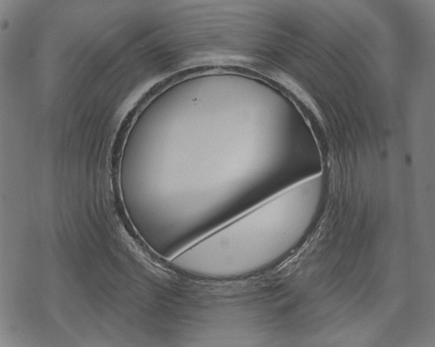 X0000075850972200609150926