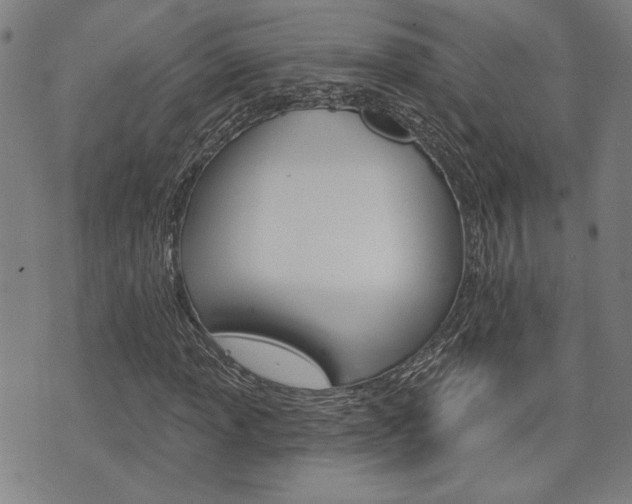 X0000075851013200609150925