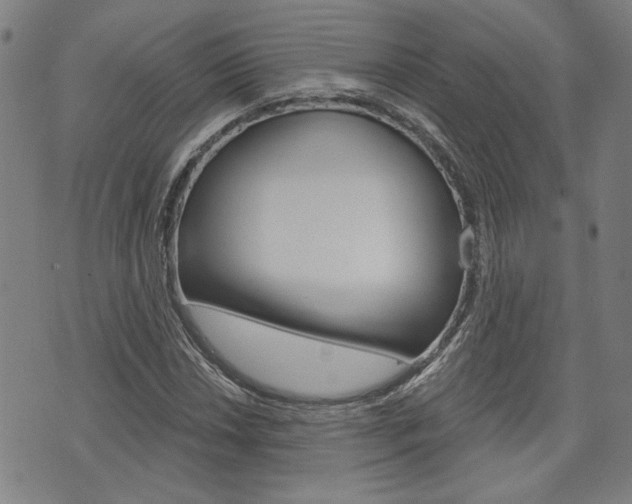 X0000075851018200609150925