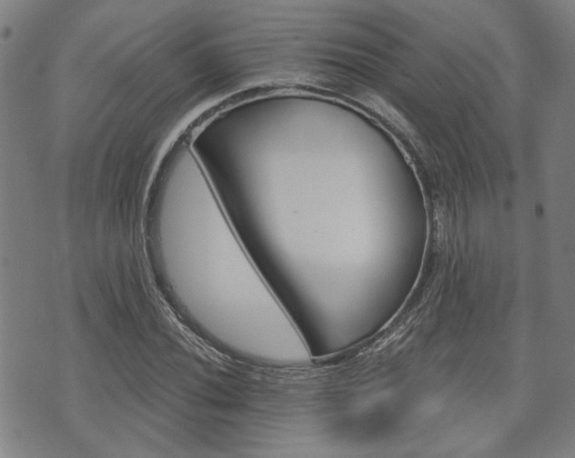 X0000075851020200609150925