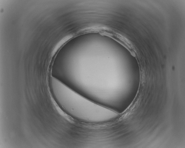 X0000075851042200609150925